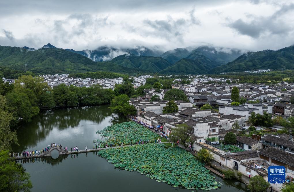 金米钱柜